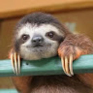 Meet your Posher, Anastasia